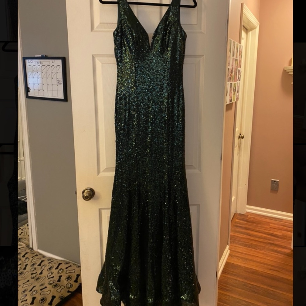 Prom Dress - Picture 8 of 8